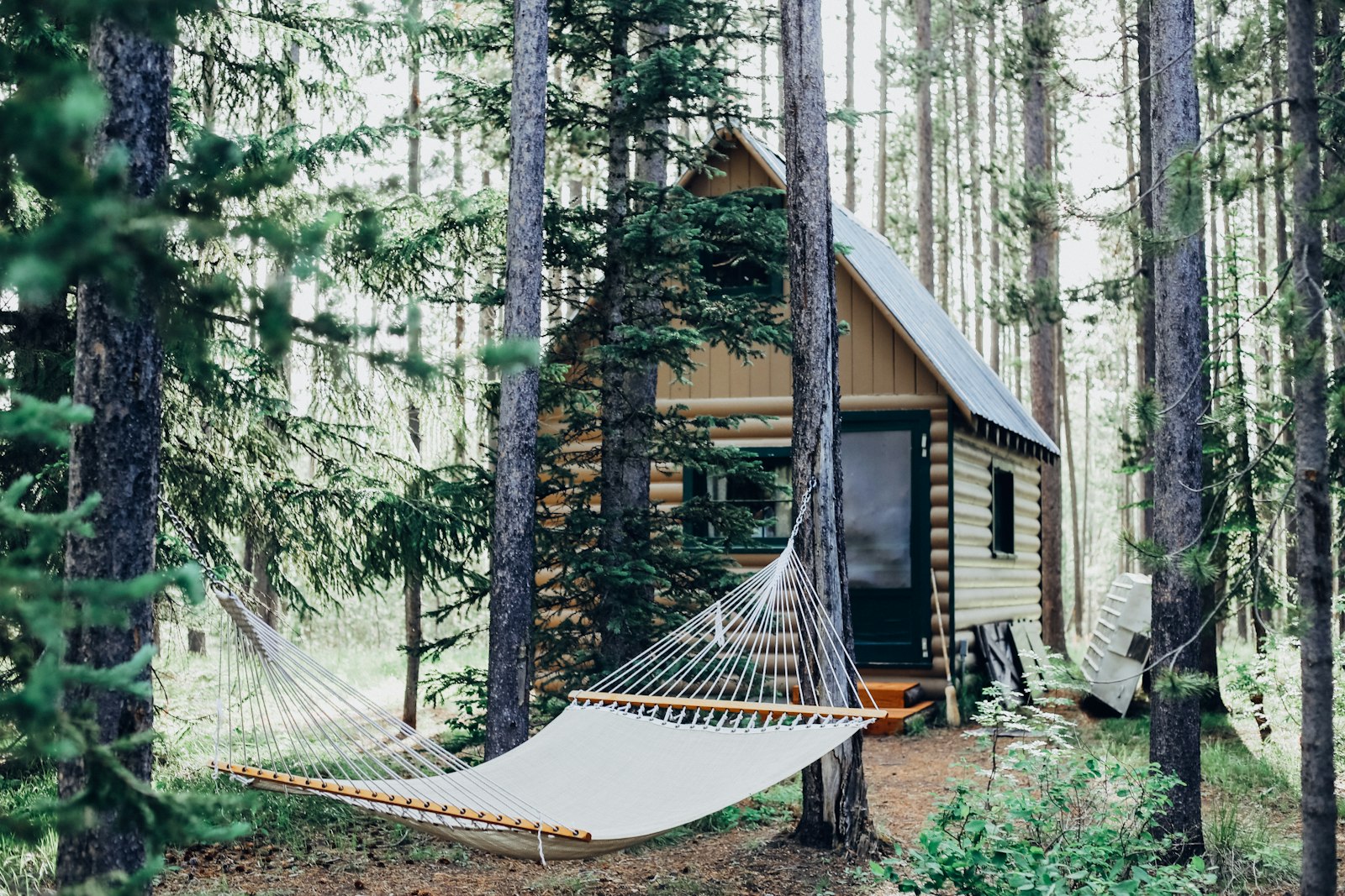A lakefront resort cabin tucked in the pines